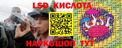 прущие грибы Лесосибирск