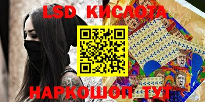 прущие грибы Лесосибирск