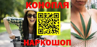 прущие грибы Лесосибирск
