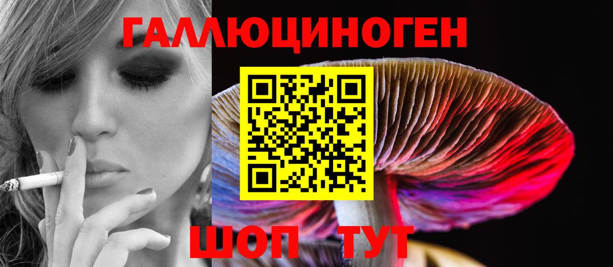 Гулькевичи  Галлюциногенные грибы мухоморы  Псилоцибиновые грибы прущие грибы  Вход с VPN 